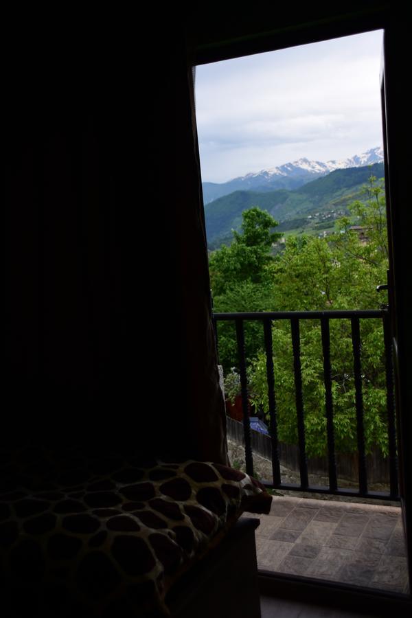 Maia'S Guesthouse Chvabiani Buitenkant foto